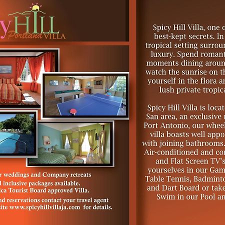 Spicy Hill Villa Port Antonio Ruang foto